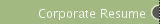 Corporate Resume