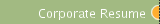 Corporate Resume